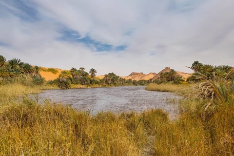 Fresh water lake as part of the the Unesco sight Ounianga lakes in the middle of the desert