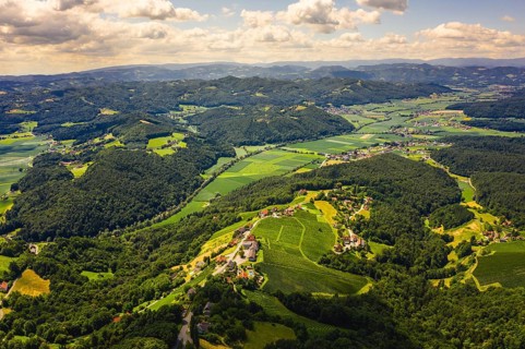 Aerial view of green hills and vineyards