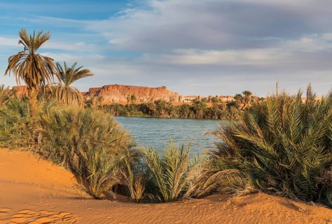 The shore of Ounianga kebir part of the the Unesco sight Ounianga lakes
