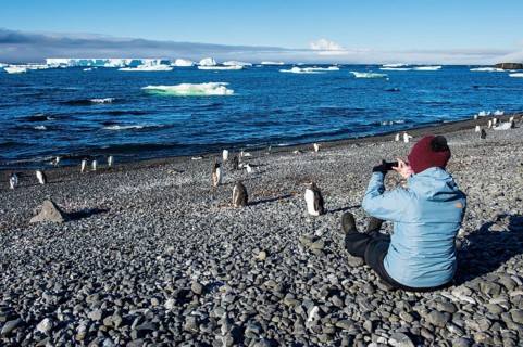Tourist photographing Adelie and Gentoo penguins