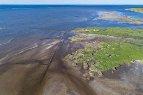 Salt marshes in front of the dike