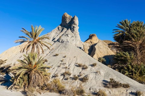 Bare ridges of eroded sandstone and palm trees in the Tabernas Desert
