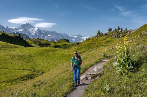 Hiker at the Schynige Platte