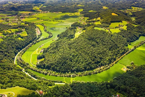 Aerial view of green hills and vineyards