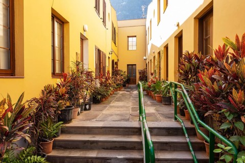 Patio with potted plants