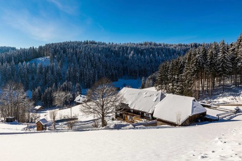 Black Forest farm in winter