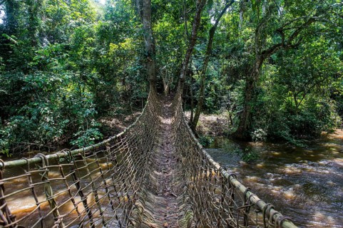 Hand made vine bridge in the Unesco world heritage sight Dzanga-Sangha Park Central African Republic