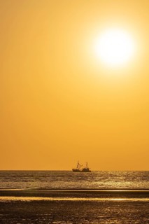 Crab cutter in the mudflats at evening light