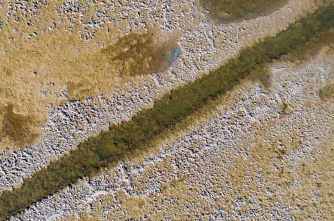 Saline soil near the saltworks at Almadraba de Monteleva