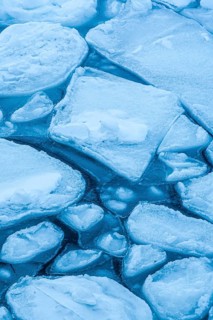 Plate Ice