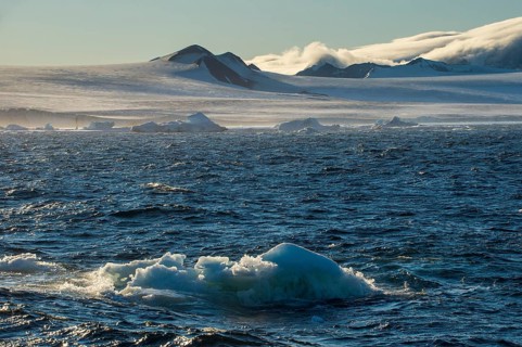 Little icebergs loating before the huge glaciers on Tabarin Peninsula