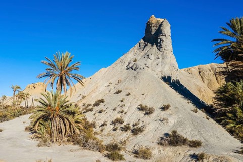 Bare ridges of eroded sandstone and palm trees in the Tabernas Desert