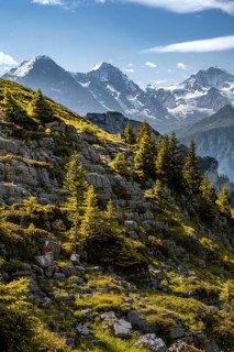 Alpine landscape