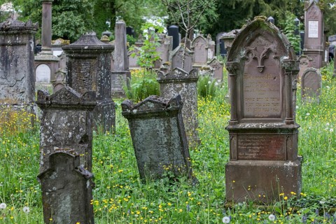 Gravestones at the Jewish cemetery