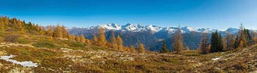 Autumn larch meadows