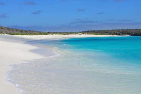 Snow white sandy beach