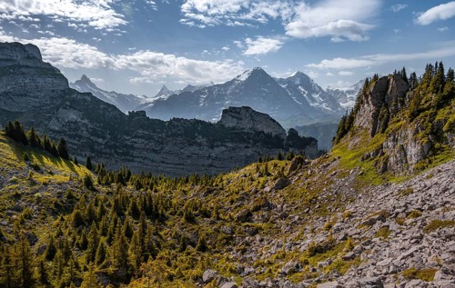 Alpine landscape
