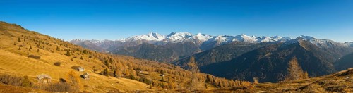Autumn larch meadows