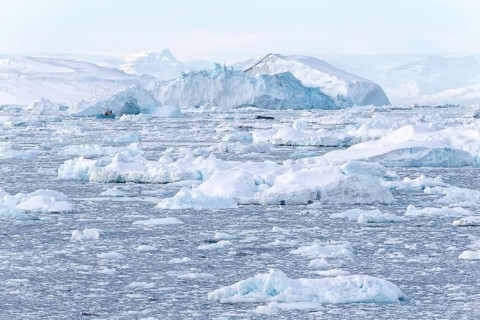 Many pack ice and large icebergs