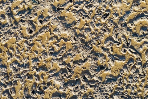 Saline soil near the saltworks at Almadraba de Monteleva