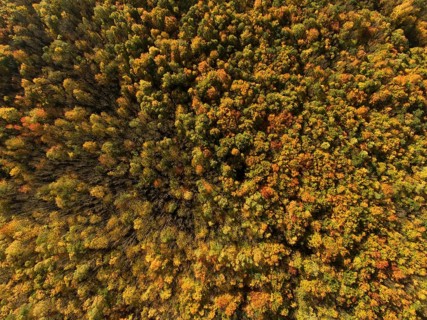 Autumn atmosphere