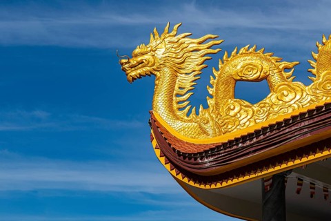 Detail of dragons on the ceiling at the Ho Quoc Pagoda Buddhist temple