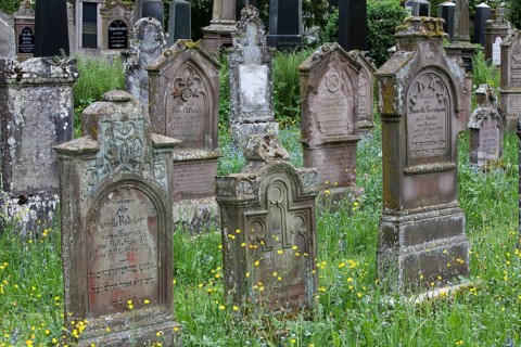 Gravestones at the Jewish cemetery
