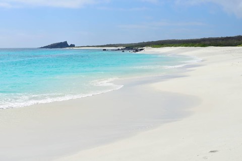 White sand beach