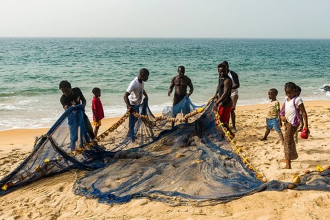 Local fishermen pulling their nets on a beach in Robertsport