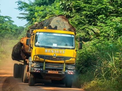 Logging truck in the jungle
