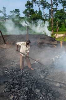 Coal production out of wood