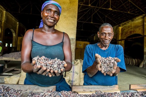Couple holding cocoa beans in their hands