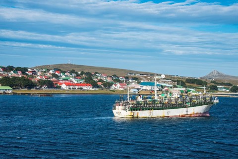 Chinese squid trawler in Stanley capital of the Falklands