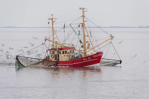 Crab cutter in the Wadden Sea