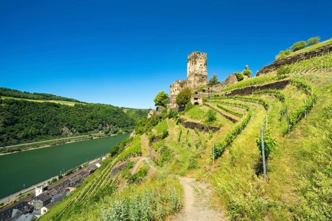 Gutenfels Castle on the Rhine