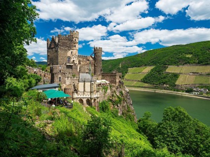 Rheinstein Castle on the Rhine