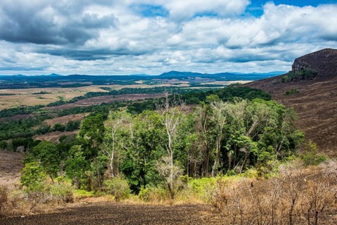 Padges of rainforest in the savannah of the Unesco world heritage sight Lope national park