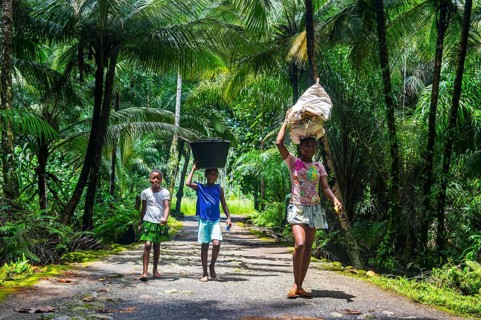 Children with buckets on their head walking through the jungle of the south coast of Sao Tome