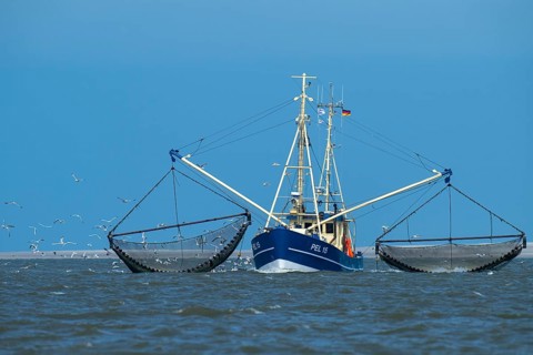 Crab cutter in the Wadden Sea