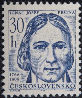 Josef Inga Pesina