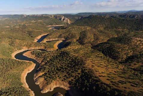 Dehesa