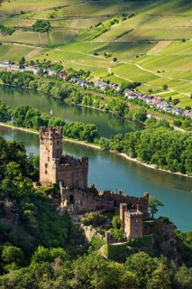 Sooneck Castle on the Rhine