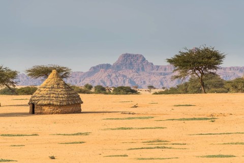Toubou hut in the Unesco world heritage