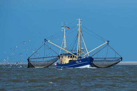 Crab cutter in the Wadden Sea