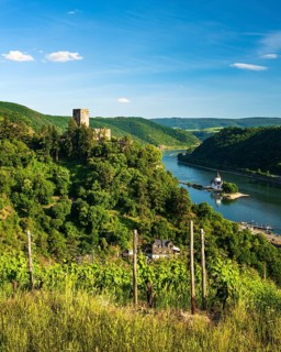 View of Gutenfels Castle on the Rhine