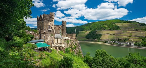 Rheinstein Castle on the Rhine