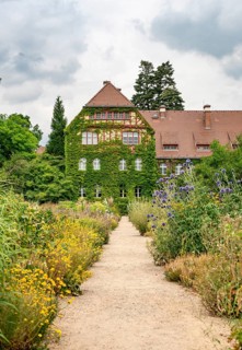 Path between flower beds with blooming summer flower-bed