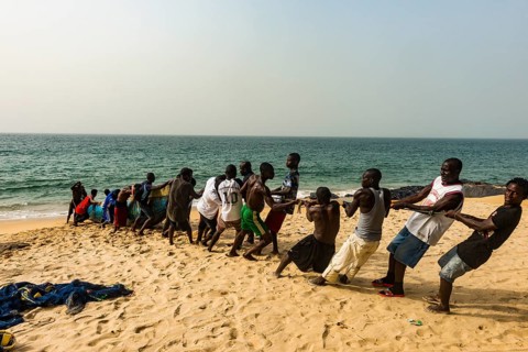 Local fishermen pulling their nets on a beach in Robertsport