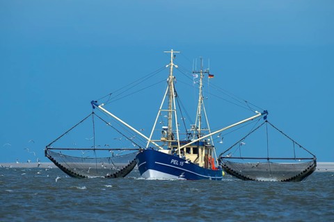 Crab cutter in the Wadden Sea