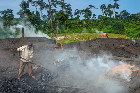 Coal production out of wood